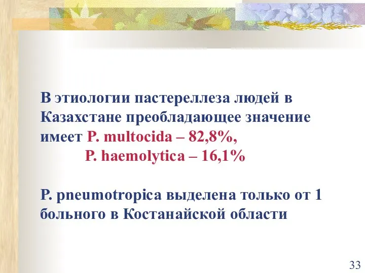 В этиологии пастереллеза людей в Казахстане преобладающее значение имеет P. multocida –