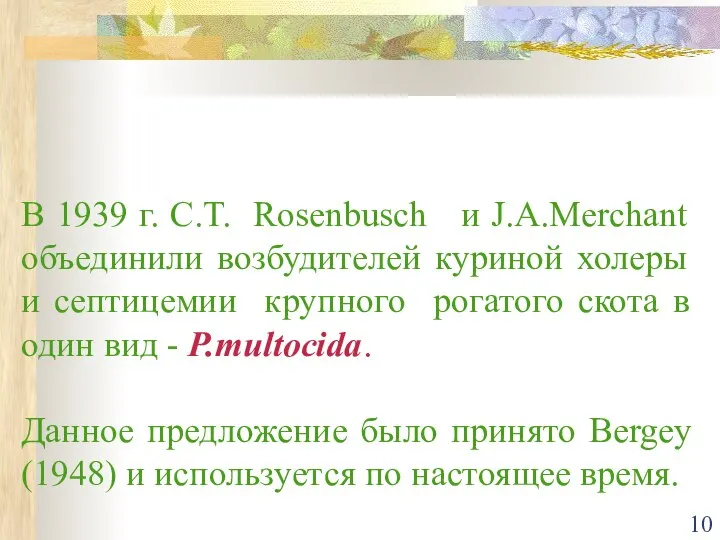 В 1939 г. С.Т. Rosenbusch и J.A.Merchant объединили возбудителей куриной холеры и