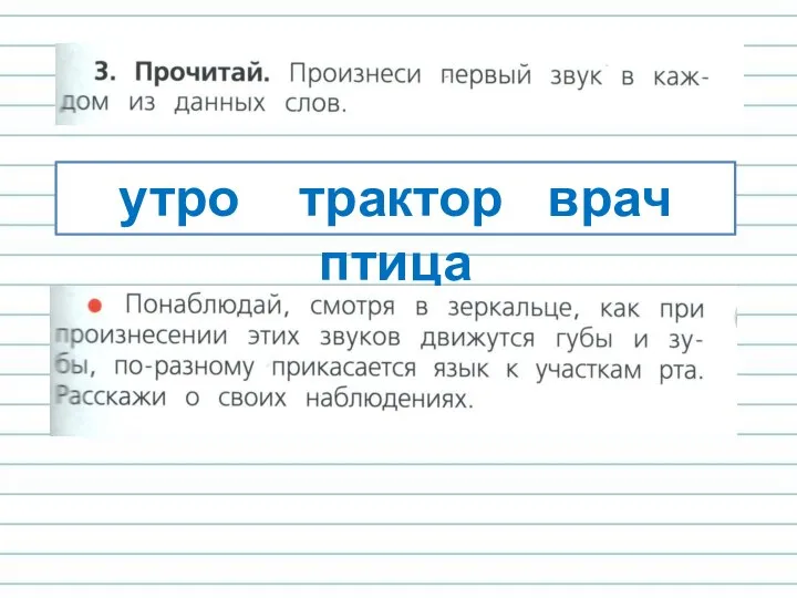 утро трактор врач птица