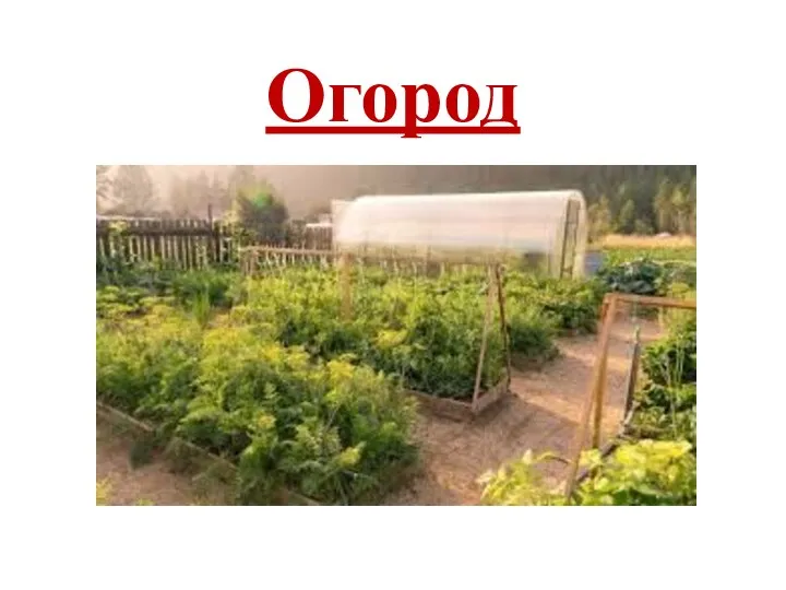 Огород