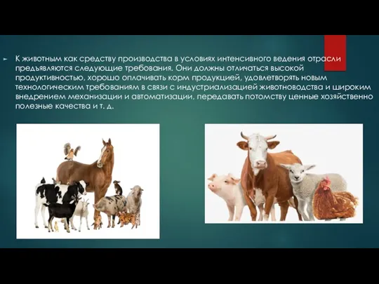 К животным как средству производства в условиях интенсивного ведения отрасли предъявляются следующие
