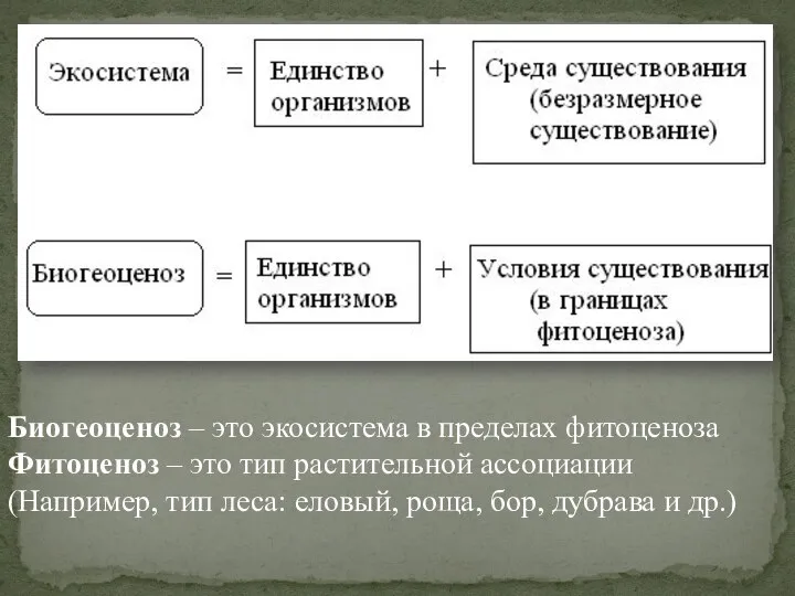 Биогеоценоз – это экосистема в пределах фитоценоза Фитоценоз – это тип растительной