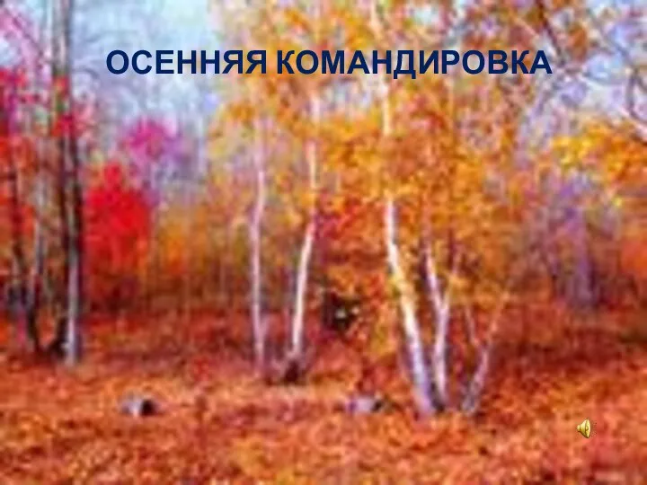 ОСЕННЯЯ КОМАНДИРОВКА