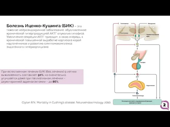 2 Болезнь Иценко-Кушинга (БИК) – это тяжелое нейроэндокринное заболевание, обусловленное хронической гиперпродукцией
