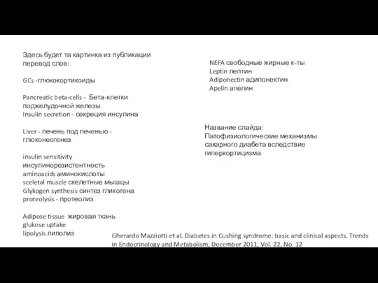 Здесь будет та картинка из публикации перевод слов: GCs -глюкокортикоиды Pancreatic beta-cells