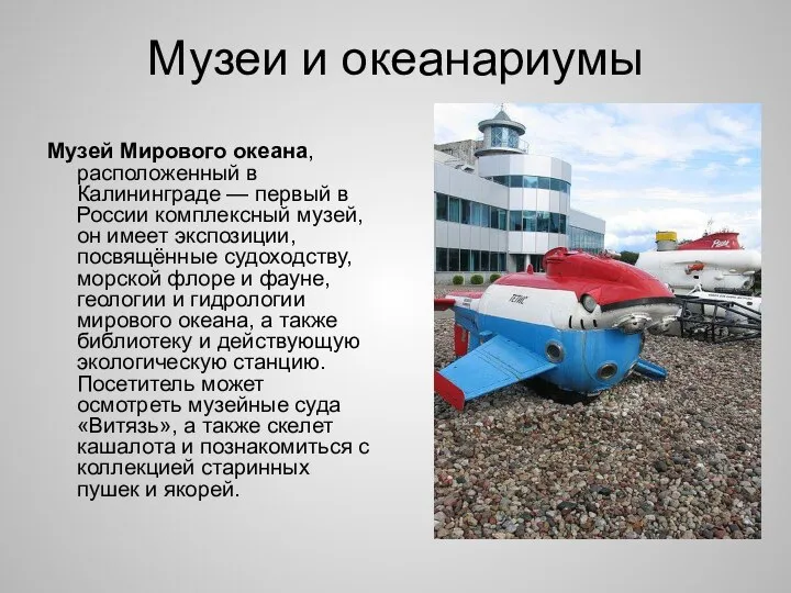 Музеи и океанариумы Музей Мирового океана, расположенный в Калининграде — первый в