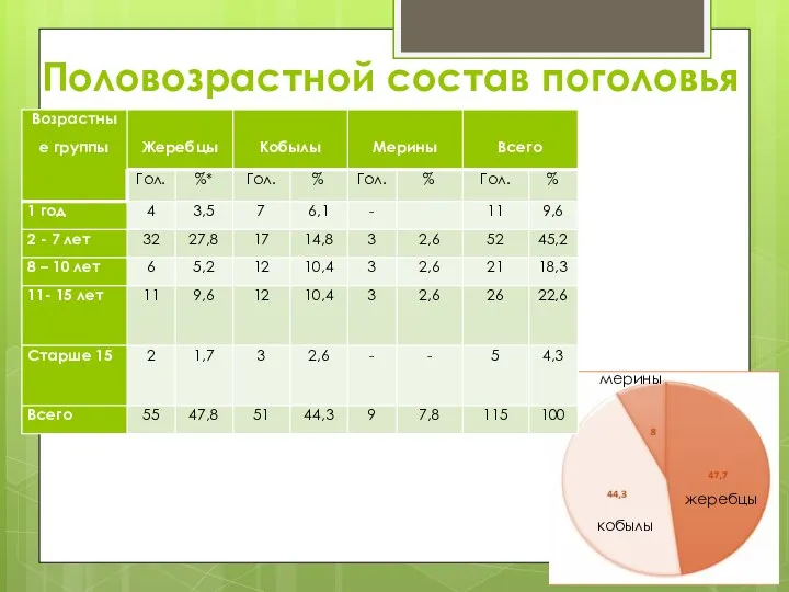 Половозрастной состав поголовья кобылы жеребцы мерины