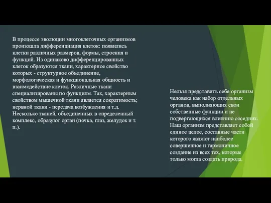 В процессе эволюции многоклеточных организмов произошла дифференциация клеток: появились клетки различных размеров,