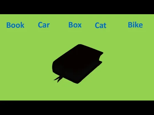 Box Book Cat Car Bike
