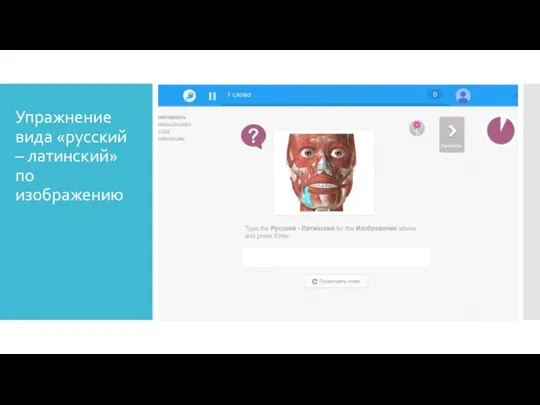 Упражнение вида «русский – латинский» по изображению