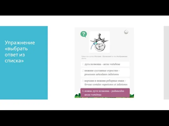 Упражнение «выбрать ответ из списка»