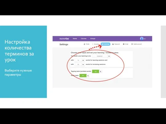 Настройка количества терминов за урок Выберите нужные параметры