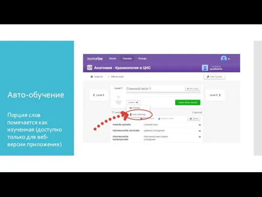 Авто-обучение Порция слов помечается как изученная (доступно только для веб-версии приложения)