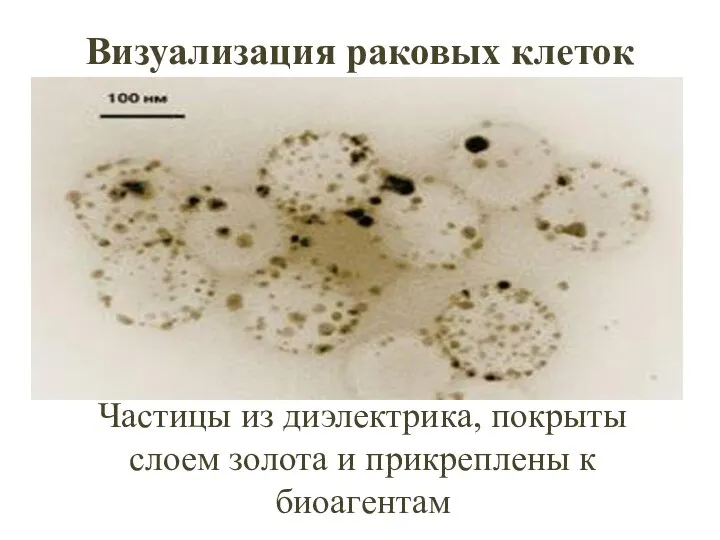 Визуализация раковых клеток Частицы из диэлектрика, покрыты слоем золота и прикреплены к биоагентам