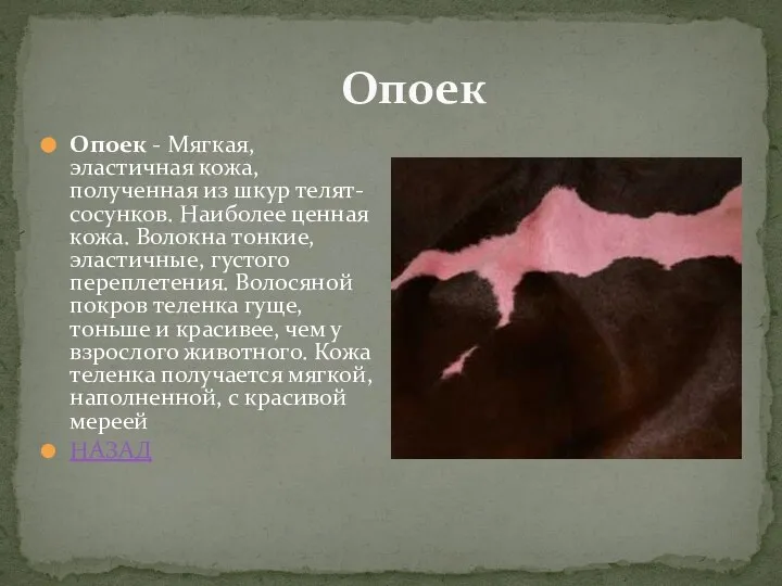 Опоек Опоек - Мягкая, эластичная кожа, полученная из шкур телят-сосунков. Наиболее ценная