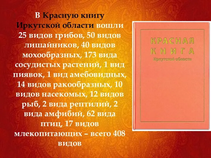 В Красную книгу Иркутской области вошли 25 видов грибов, 50 видов лишайников,