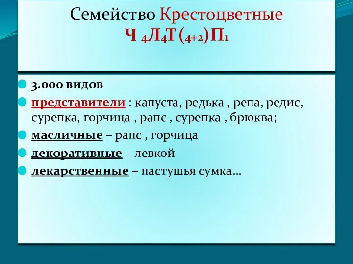 Семейство Крестоцветные Ч 4Л4Т(4+2)П1 3.000 видов представители : капуста, редька , репа,