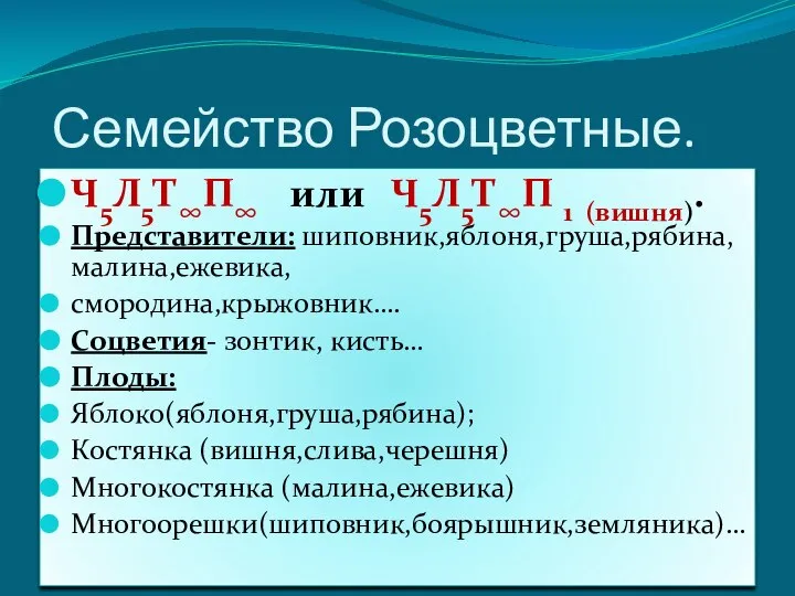 Семейство Розоцветные. Ч5Л5Т∞П∞ или Ч5Л5Т∞П 1 (вишня). Представители: шиповник,яблоня,груша,рябина,малина,ежевика, смородина,крыжовник…. Соцветия- зонтик,