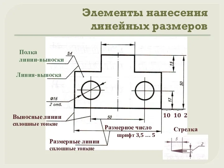 Элементы нанесения линейных размеров Выносные линии сплошные тонкие Размерные линии сплошные тонкие