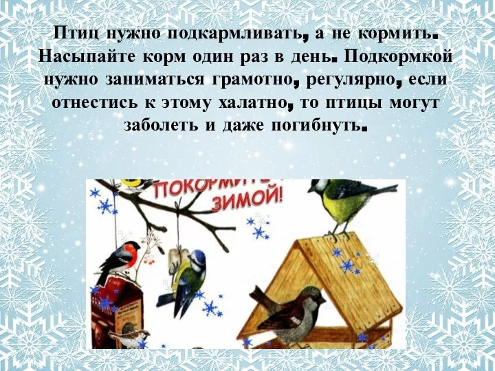 Птиц нужно подкармливать, а не кормить. Насыпайте корм один раз в день.