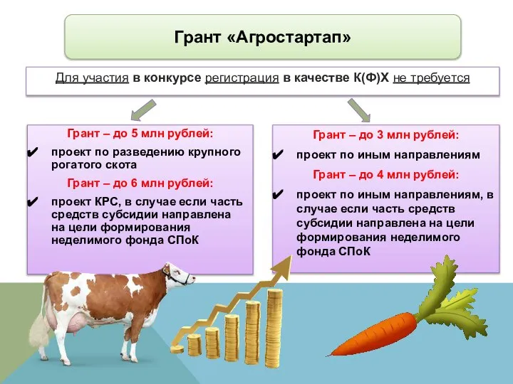 Грант – до 5 млн рублей: проект по разведению крупного рогатого скота