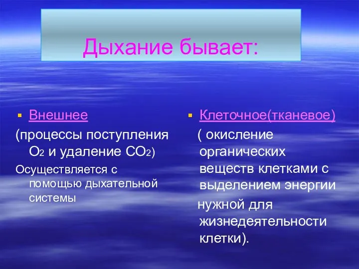 Дыхание бывает: Внешнее (процессы поступления О2 и удаление СО2) Осуществляется с помощью