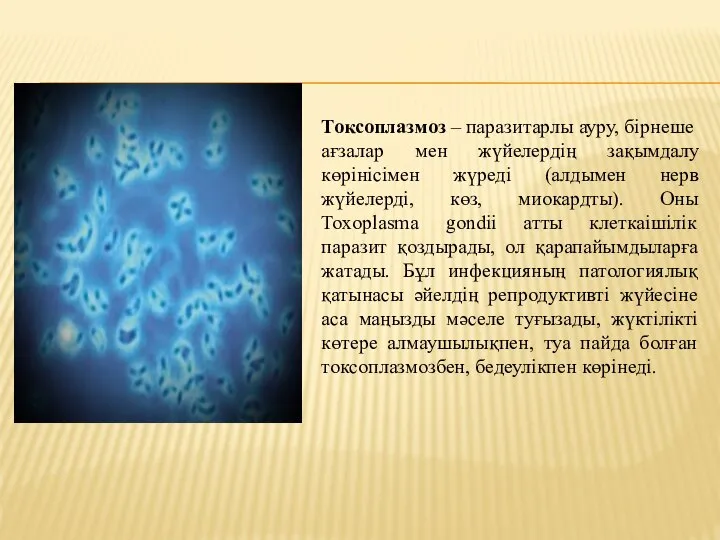 Токсоплазмоз – паразитарлы ауру, бірнеше ағзалар мен жүйелердің зақымдалу көрінісімен жүреді (алдымен