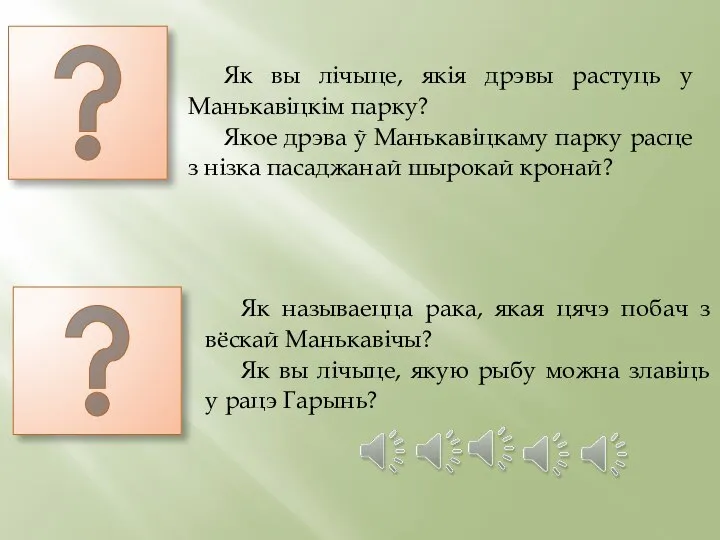 Як вы лічыце, якія дрэвы растуць у Манькавіцкім парку? Якое дрэва ў