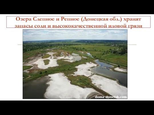 Озера Слепное и Репное (Донецкая обл.) хранят запасы соли и высококачественной иловой грязи
