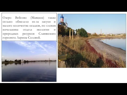 Озеро Вейсово (Маяцкое) также сильно обмелело из-за засухи и малого количества осадков,