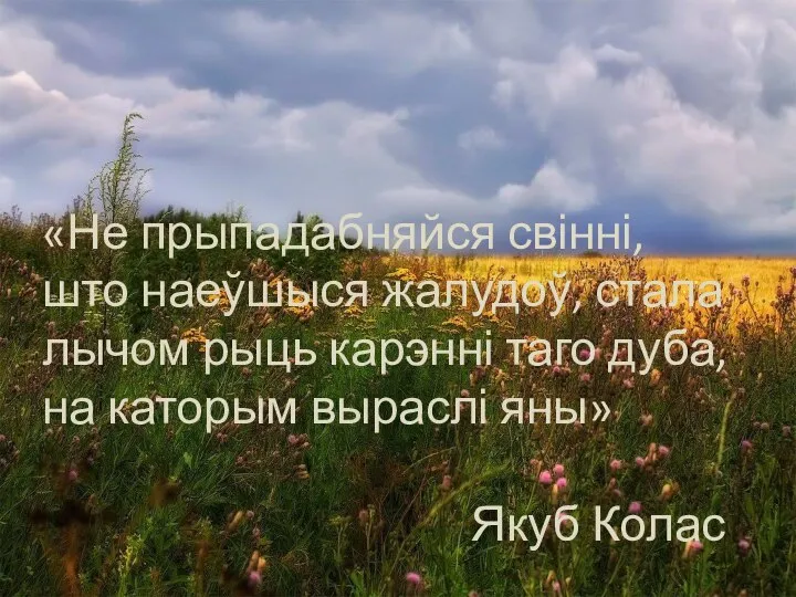 «Не прыпадабняйся свінні, што наеўшыся жалудоў, стала лычом рыць карэнні таго дуба,