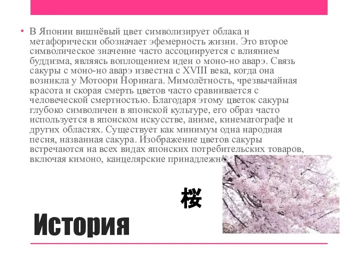 История В Японии вишнёвый цвет символизирует облака и метафорически обозначает эфемерность жизни.