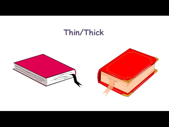 Thin/Thick