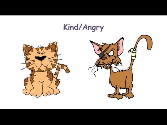 Kind/Angry