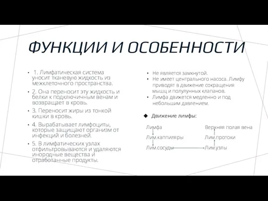 ФУНКЦИИ И ОСОБЕННОСТИ 1. Лимфатическая система уносит тканевую жидкость из межклеточного пространства.