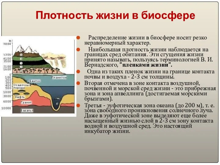 Плотность жизни в биосфере Распределение жизни в биосфере носит резко неравномерный характер.