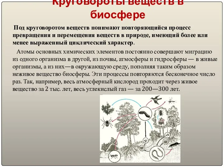 Круговороты веществ в биосфере Под круговоротом веществ понимают повторяющийся процесс превращения и