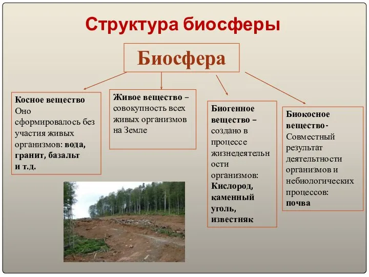 Структура биосферы Биосфера Косное вещество Оно сформировалось без участия живых организмов: вода,