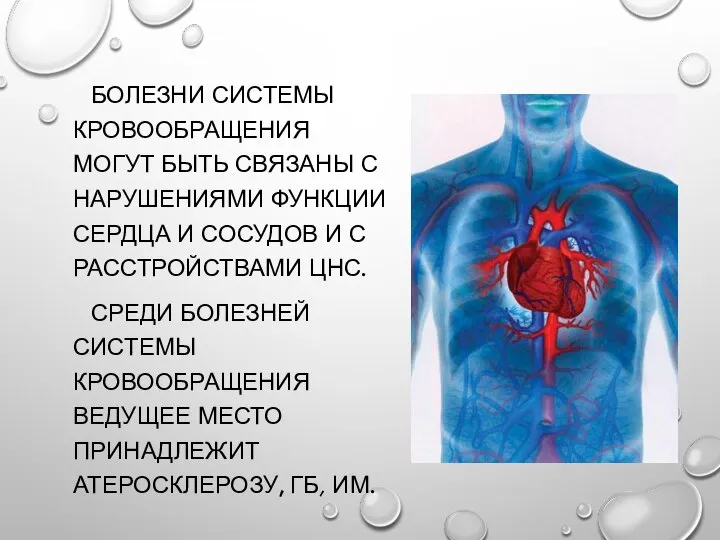 БОЛЕЗНИ СИСТЕМЫ КРОВООБРАЩЕНИЯ МОГУТ БЫТЬ СВЯЗАНЫ С НАРУШЕНИЯМИ ФУНКЦИИ СЕРДЦА И СОСУДОВ