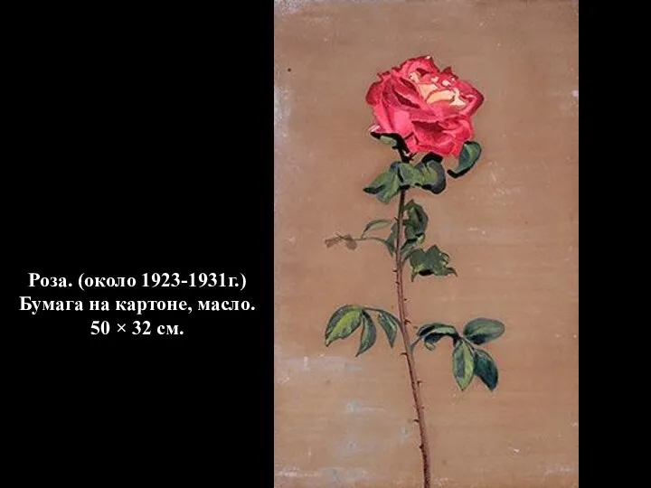 Роза. (около 1923-1931г.) Бумага на картоне, масло. 50 × 32 см.