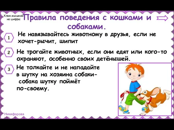 Правила поведения с кошками и собаками. Не навязывайтесь животному в друзья, если