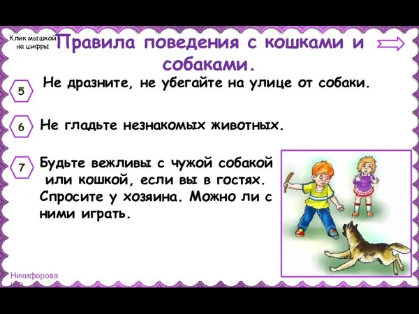 Правила поведения с кошками и собаками. Не дразните, не убегайте на улице