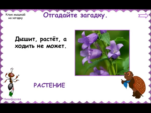 Отгадайте загадку. Клик мышкой на загадку Дышит, растёт, а ходить не может. РАСТЕНИЕ