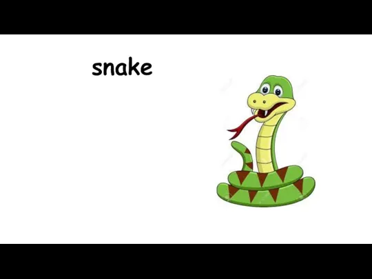 snake