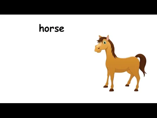 horse