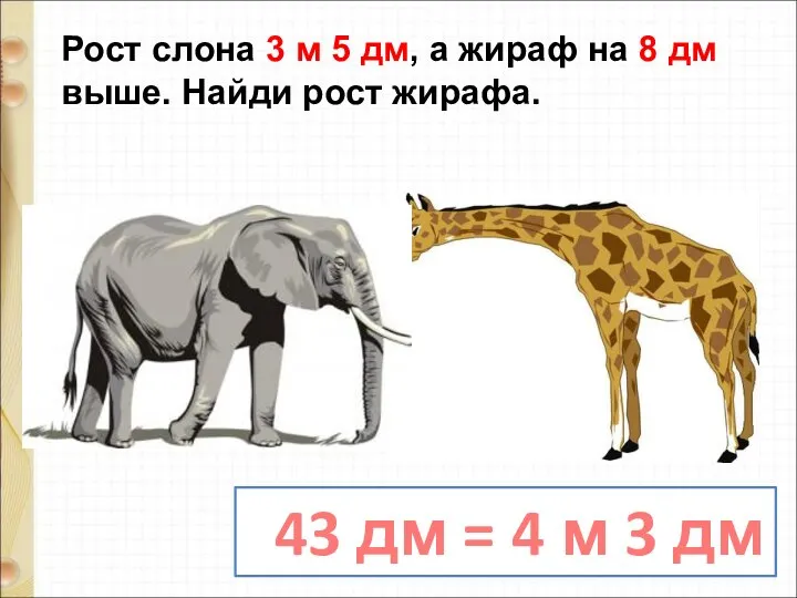 Рост слона 3 м 5 дм, а жираф на 8 дм выше.