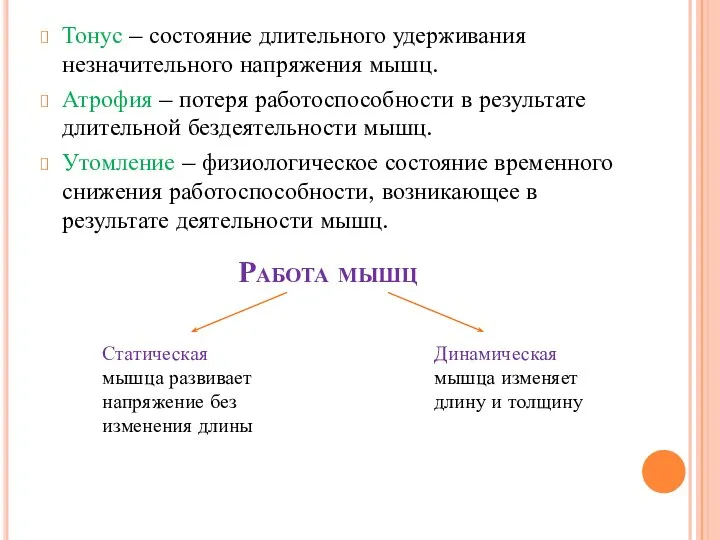 Работа мышц Тонус – состояние длительного удерживания незначительного напряжения мышц. Атрофия –