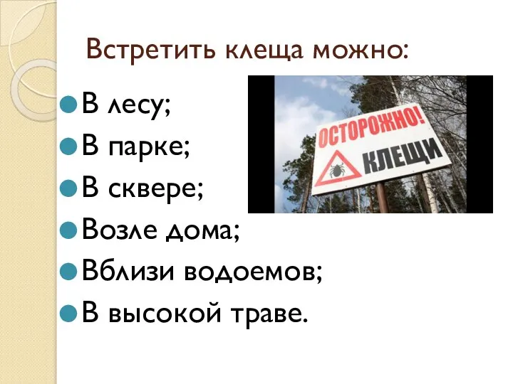 Встретить клеща можно: В лесу; В парке; В сквере; Возле дома; Вблизи водоемов; В высокой траве.