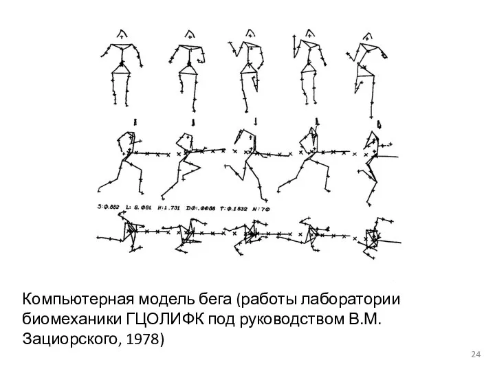 Компьютерная модель бега (работы лаборатории биомеханики ГЦОЛИФК под руководством В.М. Зациорского, 1978)