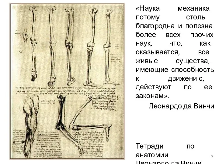 Тетради по анатомии Леонардо да Винчи «Наука механика потому столь благородна и